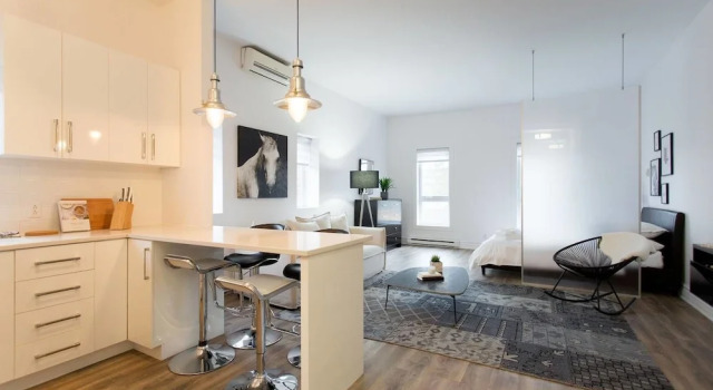 Amazing Loft With Parking
