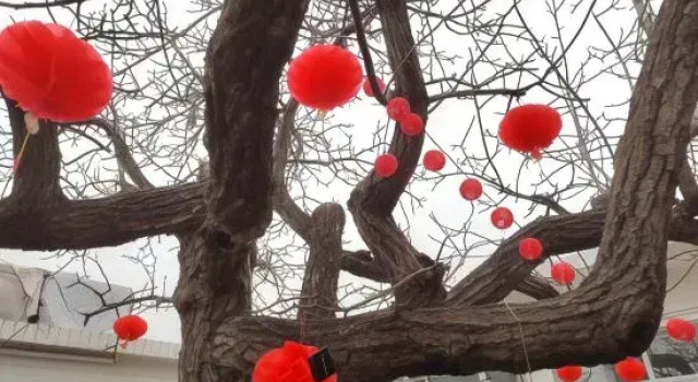 Homestay (Beijing Flagship Store), Rezervați Hotel Jiuduhe Beijing Province