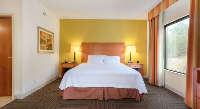 Studio Hampton Inn Ringgold-Ft. Oglethorpe
