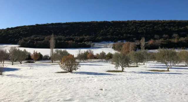 Коттедж Mas La Miellerie, Maison Authentique Provence