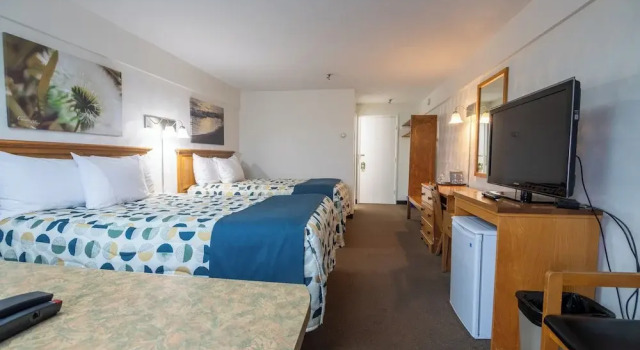 Четырёхместный номер Standard Hôtel Les Mouettes