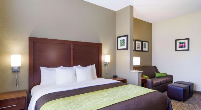 Двухместный люкс Comfort Inn Blackshear Hwy 84