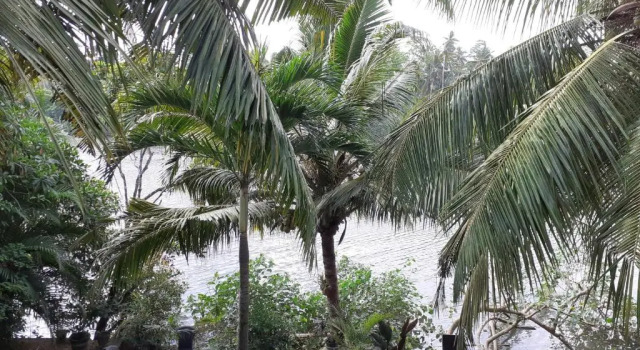 Номер Deluxe Tinara River Inn, Weligama