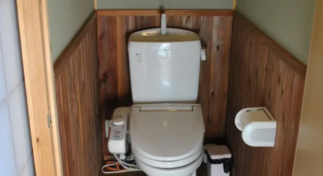 Номер Standard Hot Spring Inn Banya