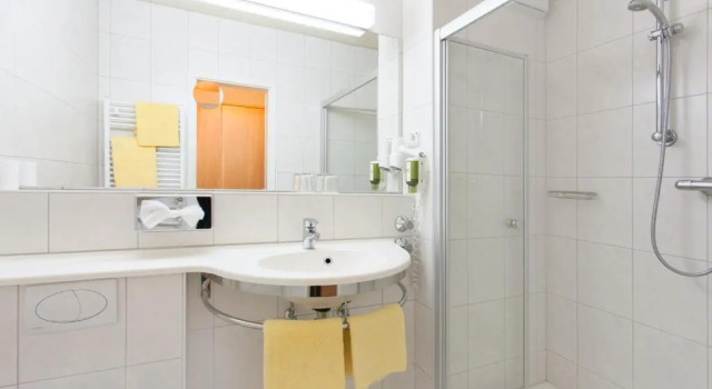Трёхместный номер Standard Hotel Waldesruh