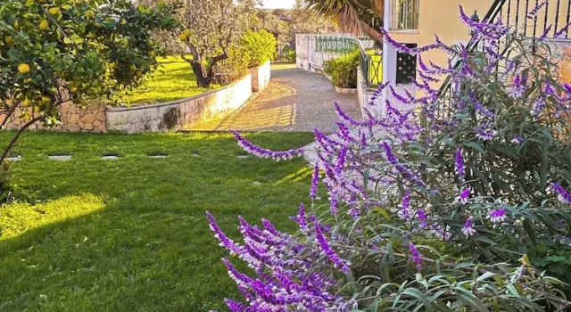 Вилла с видом на сад Quinta Do Ribeirinho