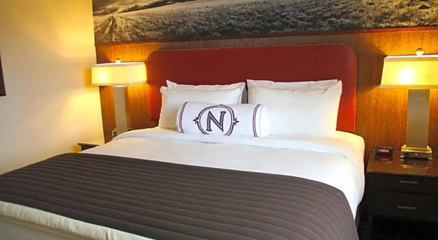 Двухместный люкс Northern Hotel