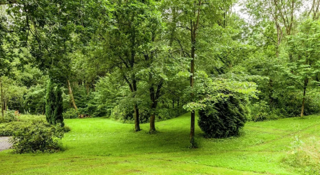 Апартаменты Cottage Near Durbuy Forest