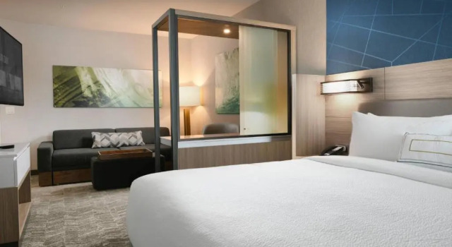Двухместный люкс SpringHill Suites Dallas DFW Airport South/CentrePort