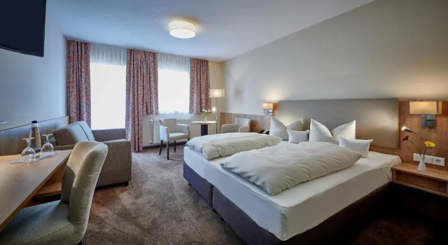 Студия Standard Hotel Herzog Heinrich