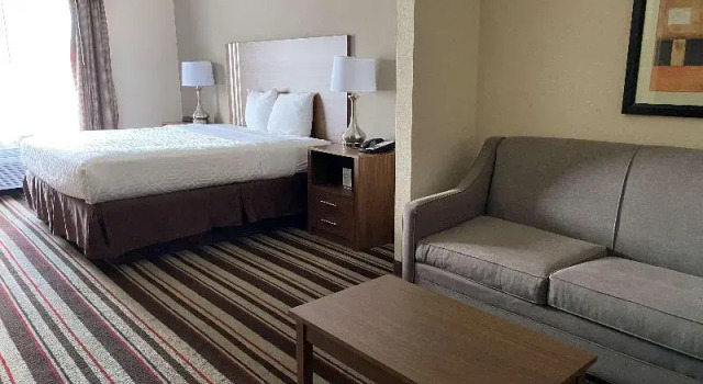 Одноместный номер Standard City Express by Marriott Danville