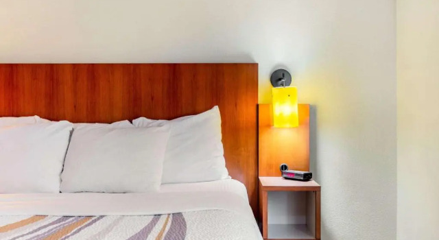 Номер Standard La Quinta by Wyndham Raleigh/Durham Southpoint