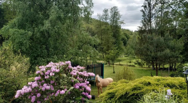 Коттедж Léchappée verte - gîte equestre 5 pers
