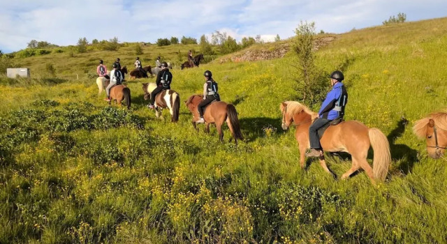 Finnsstaðir Horse Ranch, Buchen Sie Hotel Egilsstaðir Austurland