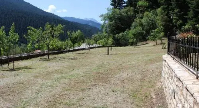 Elatodasos, Book Hotel Hotels in Central Greece with Parking, Parking