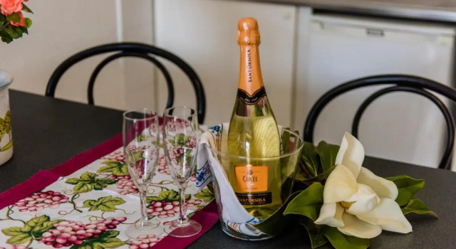 Апартаменты Standard Residence Magnolia Pet Friendly