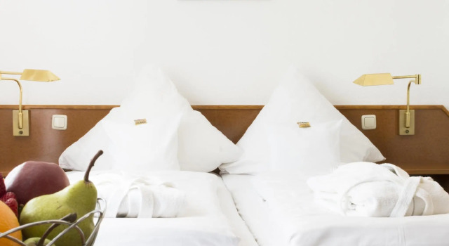 Двухместный номер Comfort Hotel Roemerstein
