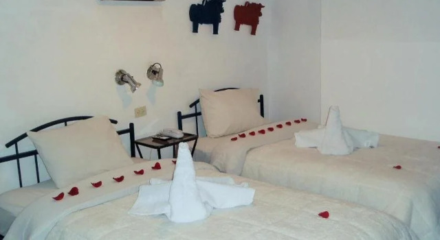 Pukantu Hostal, Reserva ahora Hotel Puno Perú, cerca de Mirador Kuntur Wasi