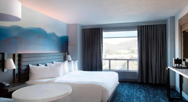 Номер Standard Franklin Marriott Cool Springs