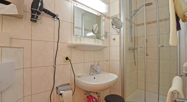 Одноместный номер Standard Hotel Haus Orchideental Jena