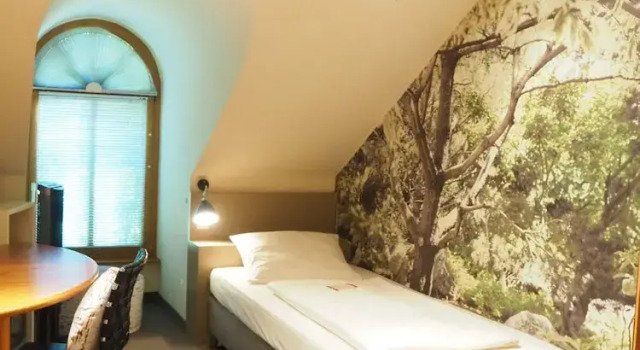 Одноместный номер Standard Hotel Schindlerhof