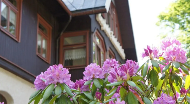 Berghotel Friedrichshöhe