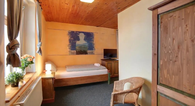 Двухместный номер Standard с красивым видом из окна Hotel Plesivec