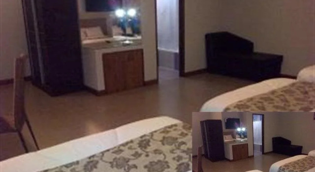 Bushida Bed and Breakfast