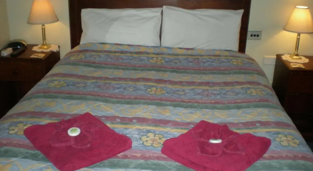 Номер Standard Oasis Motor Inn