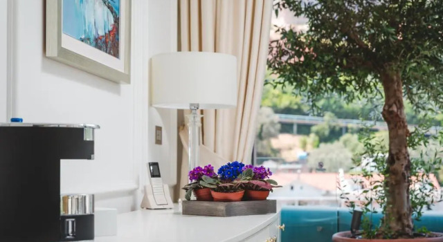 Люкс Boutique Hotel Vissi dArte