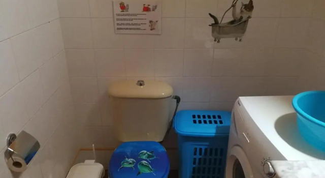 Одноместный номер Standard El Oasis Canario