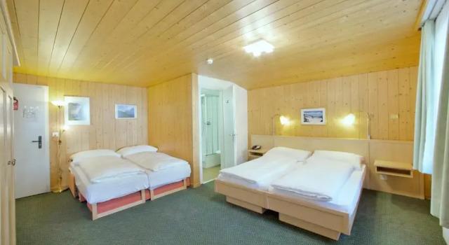 Номер Standard Hotel Alpenruh