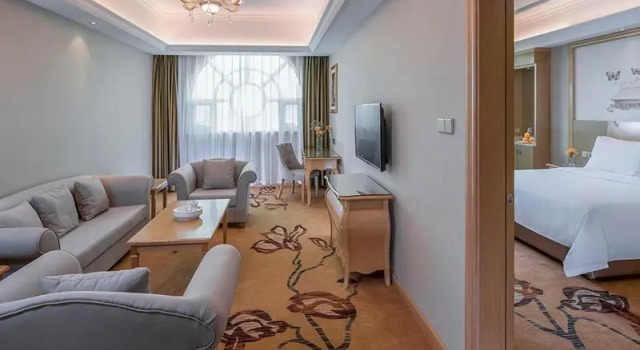 Люкс Deluxe Vienna Hotel Guangdong Chaozhou Chaoshan High-Speed Railway Station