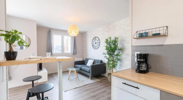 Апартаменты Lille Centre - Beautiful apartment bright and equipped parking !
