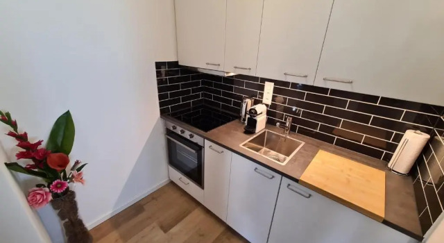 Apartamento Alpine Studio
