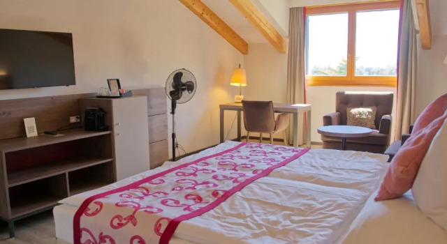 Номер Standard с видом на сад Hôtel des Vignes