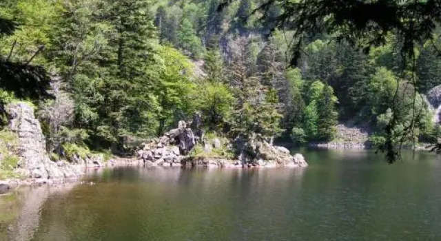 Les Rondins De La Fecht, Rezervasyon Otel Massif des Vosges otoparklı oteller, Otopark