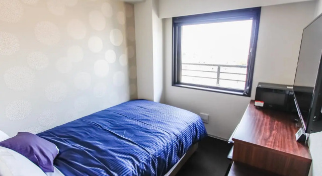Одноместный номер Standard HOTEL LiVEMAX Kyoto Nijojo-kita