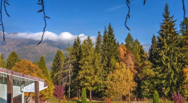 Номер Standard Hotel Alaska