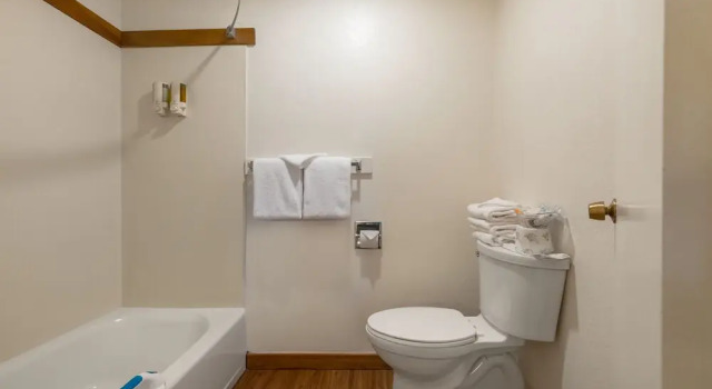 Четырёхместный номер Standard Цокольный этаж с балконом Harbor Lite Lodge