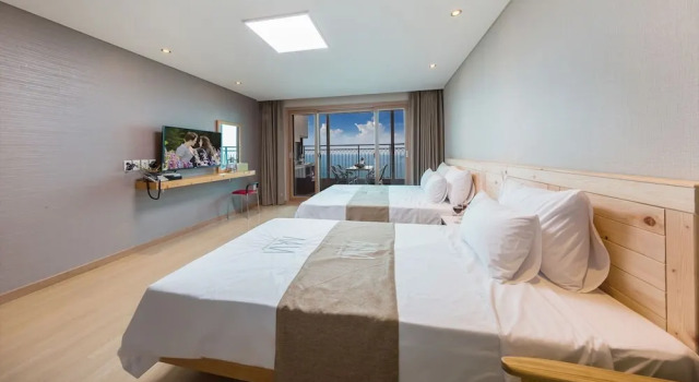Двухместный номер Standard с балконом Aria Pension Resort