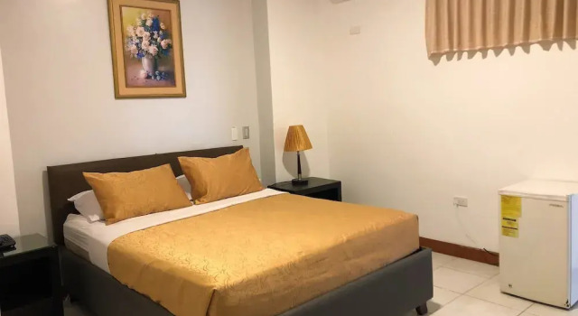 Двухместный номер Superior Hotel Plaza Central