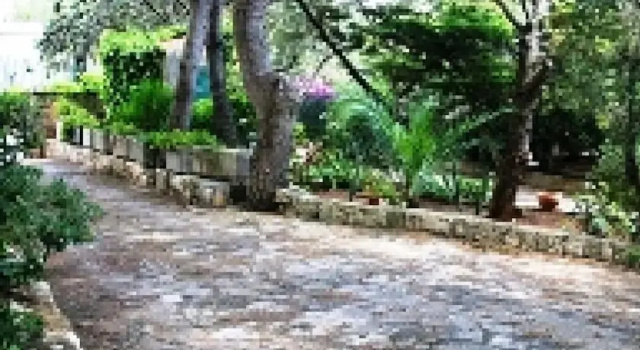 Serra del Calino