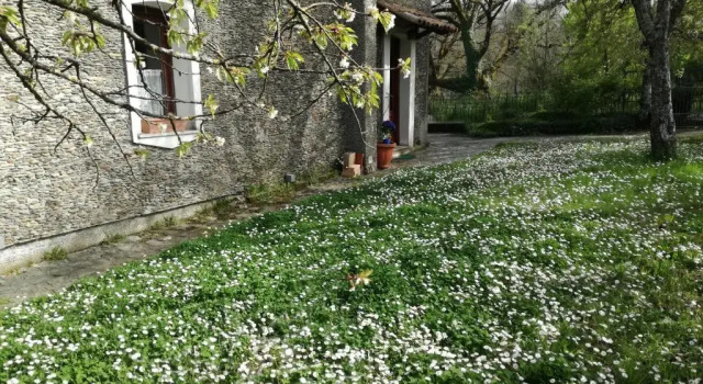 Hytte Casa nel verde