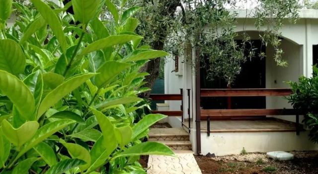 Коттедж с 2 комнатами с балконом и с видом на сад Holiday Apartment orchidea with swimming pool and private beach