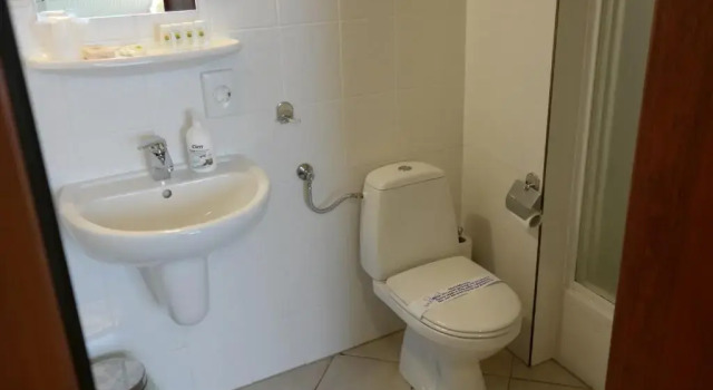 Номер Superior Hotel Halny