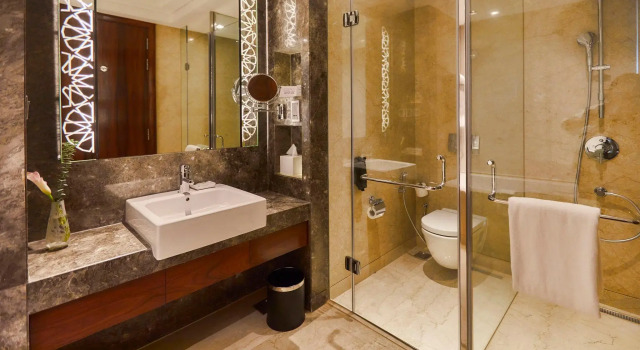 Двухместный номер Standard Crowne Plaza New Delhi Rohini by IHG
