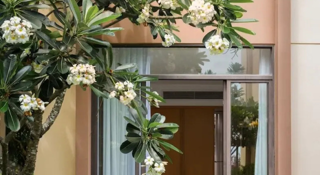 Вилла Deluxe с 3 комнатами Cam Ranh Mystery Villas & Resort