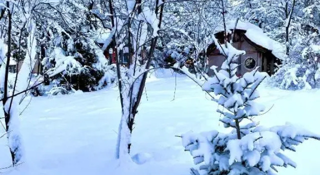 Romantic house, Rezervasyon Otel Sigulda Gauja National Park