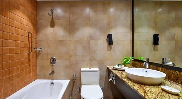 Номер Classic Fariyas Resort Lonavala